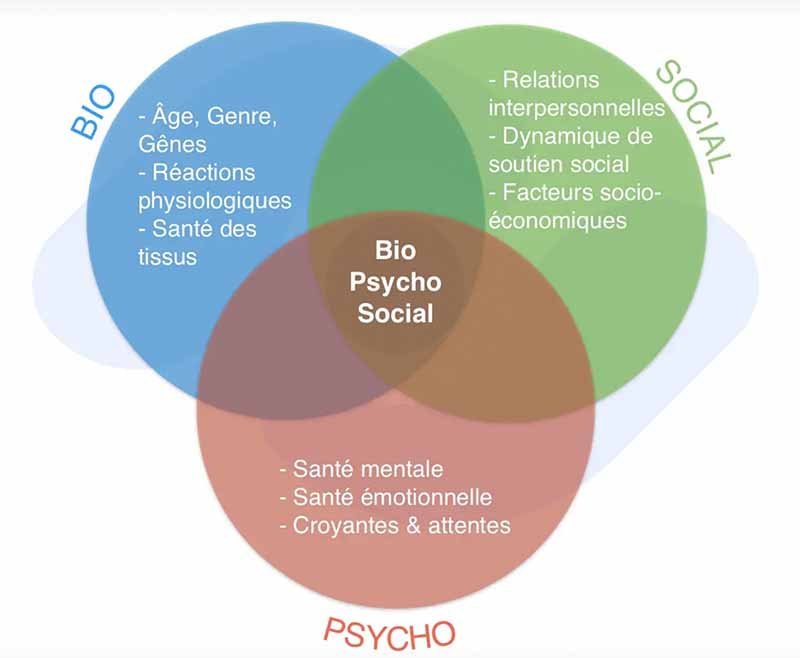modèle bio-psycho-social